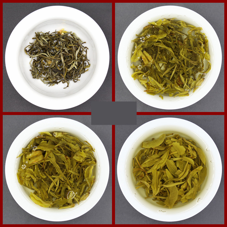 茉莉龙豪 浓香茉莉花茶叶2021年新茶云南茉莉大白毫茉莉花茶龙毫500克