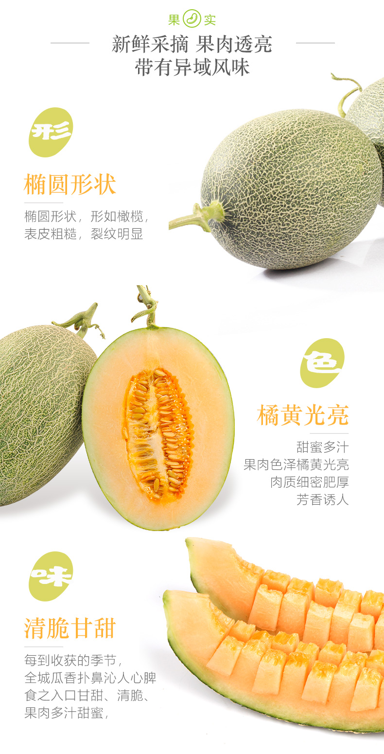 晓蜜25号海南哈密瓜西州蜜甜瓜新鲜可选礼盒应当季金州网纹瓜水果2颗