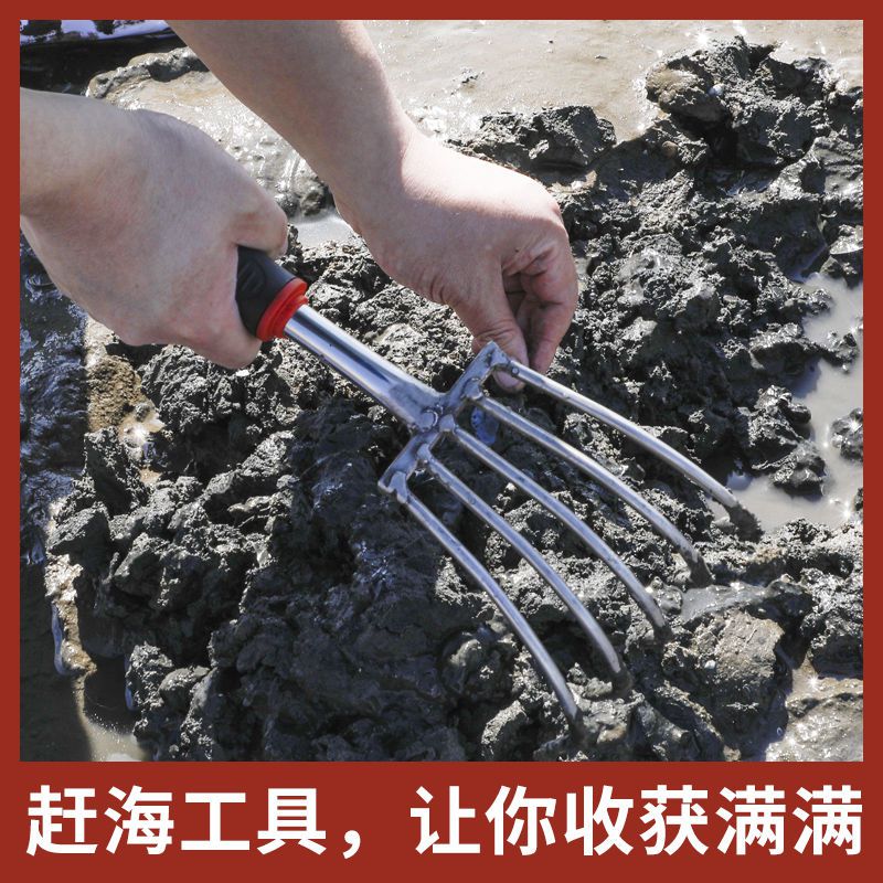 赶海蛤蜊子挖蚬子蛏子神器不锈钢捡贝壳夹子沙滩小子 出口两用耙锄