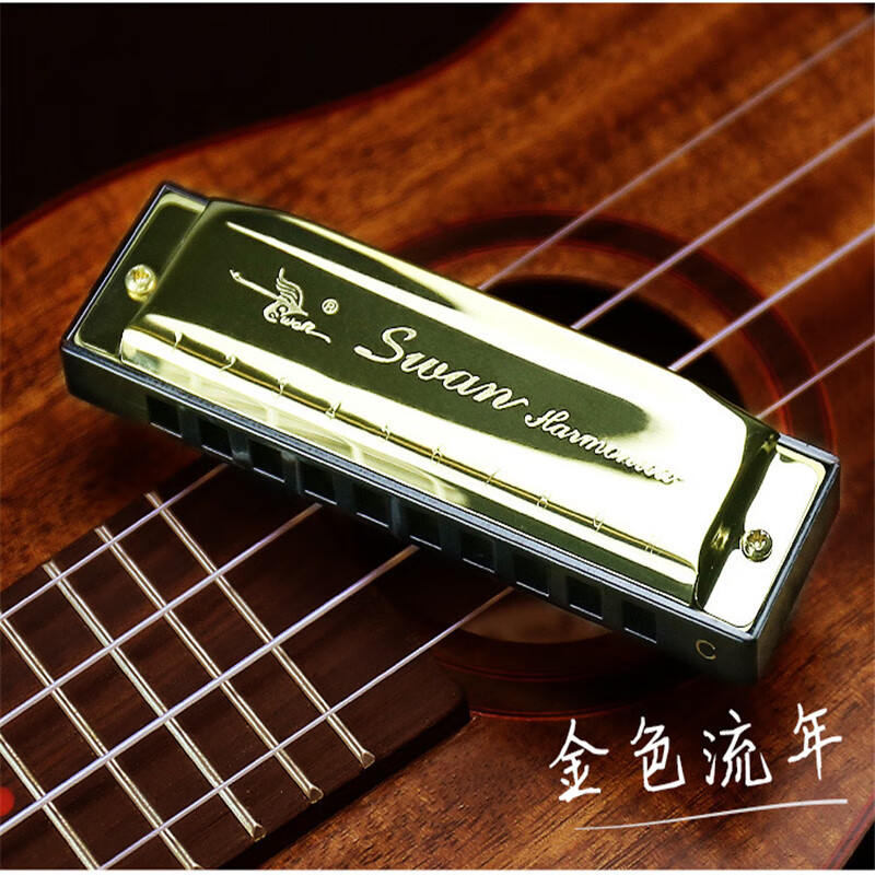 布鲁斯口琴口琴10孔20音c调儿童成人演奏口琴哨天鹅十孔金色c调