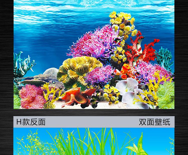 金鱼缸背景纸 后面背景山水画纯黑鱼缸背景贴纸墙纸3d海底世界 壁纸