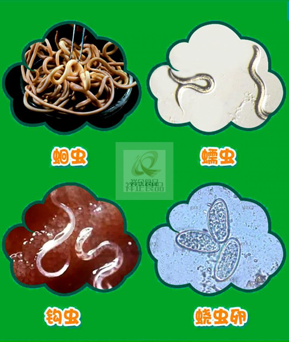 塔塔糖儿童小孩成人搭宝塔糖打蛔虫打虫糖寄生虫54g 【2瓶装】店长