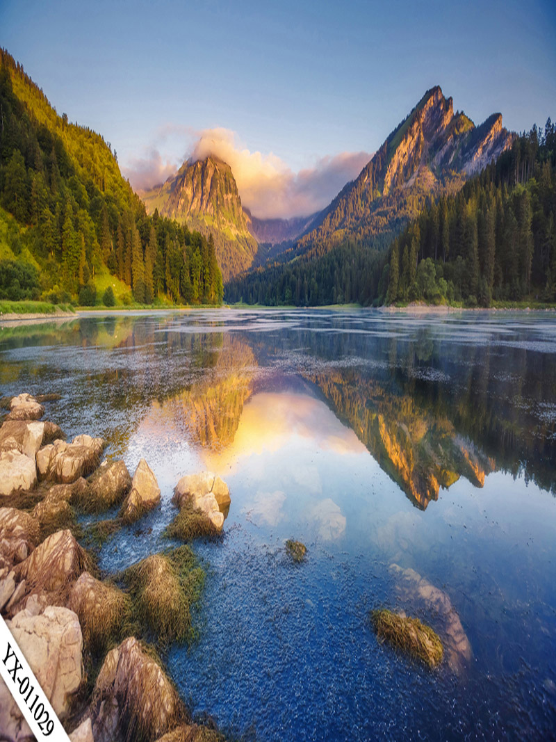 直播背景布3d立体直播间装饰主播竹林山水田园外景快手网红背景墙