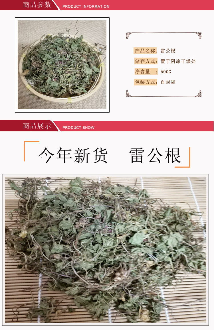伟博 野生新鲜晒干中药材雷公根崩大碗野生积雪草500克