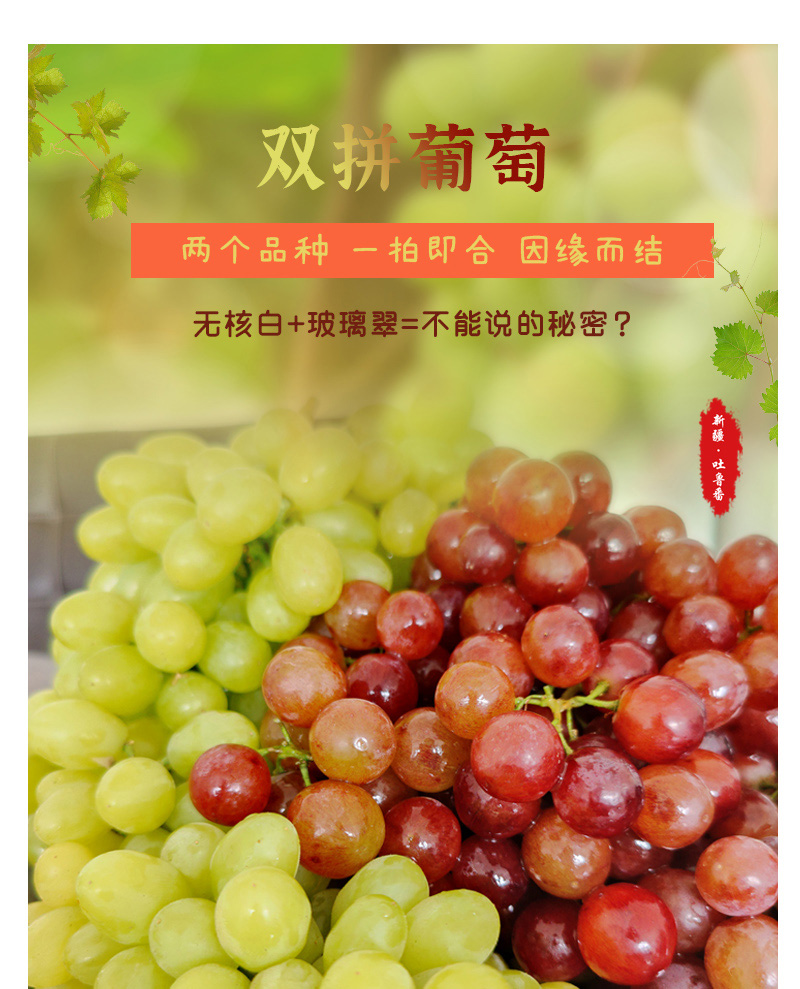 现货顺丰冷链 新疆葡萄三拼新鲜玻璃脆葡萄马奶无核白葡萄4斤装火焰无