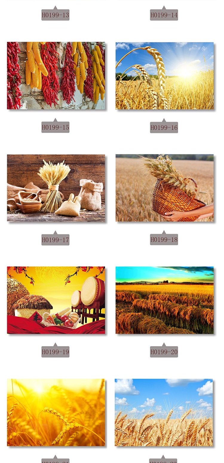 五谷丰登装饰画丰收挂画金秋水稻小麦大丰收喜悦餐厅墙画饭厅装饰画