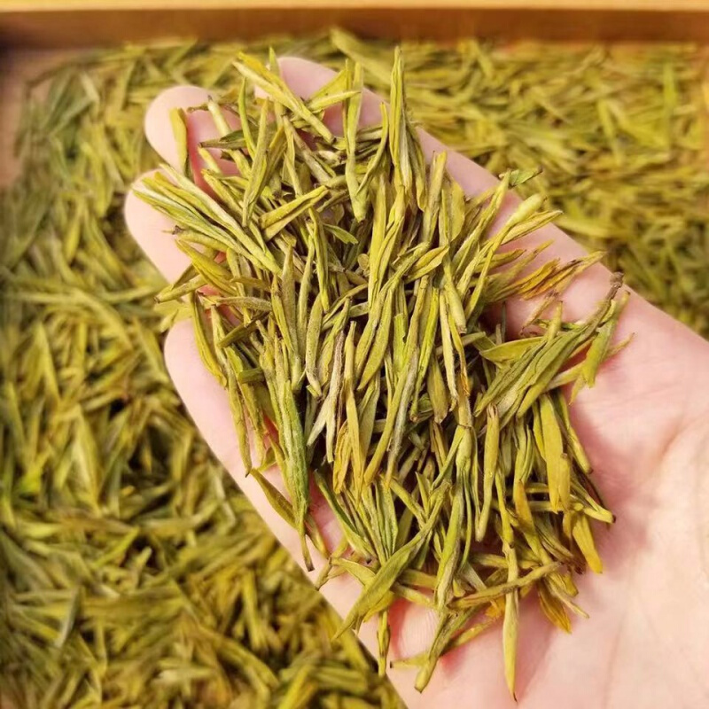 【京选推荐】黄金芽茶叶2021年明茶春茶高山绿茶袋装盒装 珍稀黄金芽