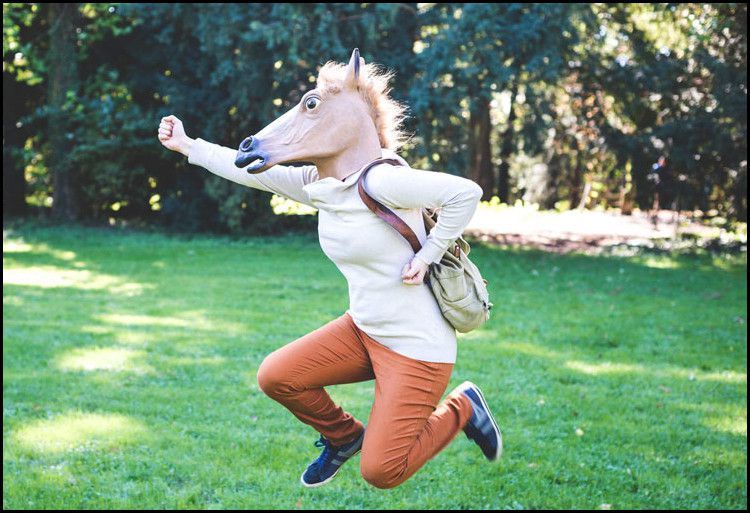 cosplay搞笑动物头套马头套cos面具头套搞笑动物犬马君马头面具抖音