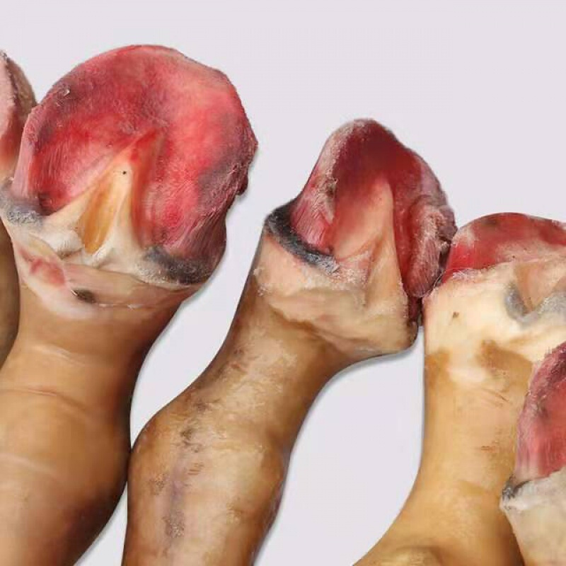正宗驴脚带皮驴脚正宗黑驴蹄子新鲜驴蹄筋带皮驴小腿驴肉新鲜 顺丰:带