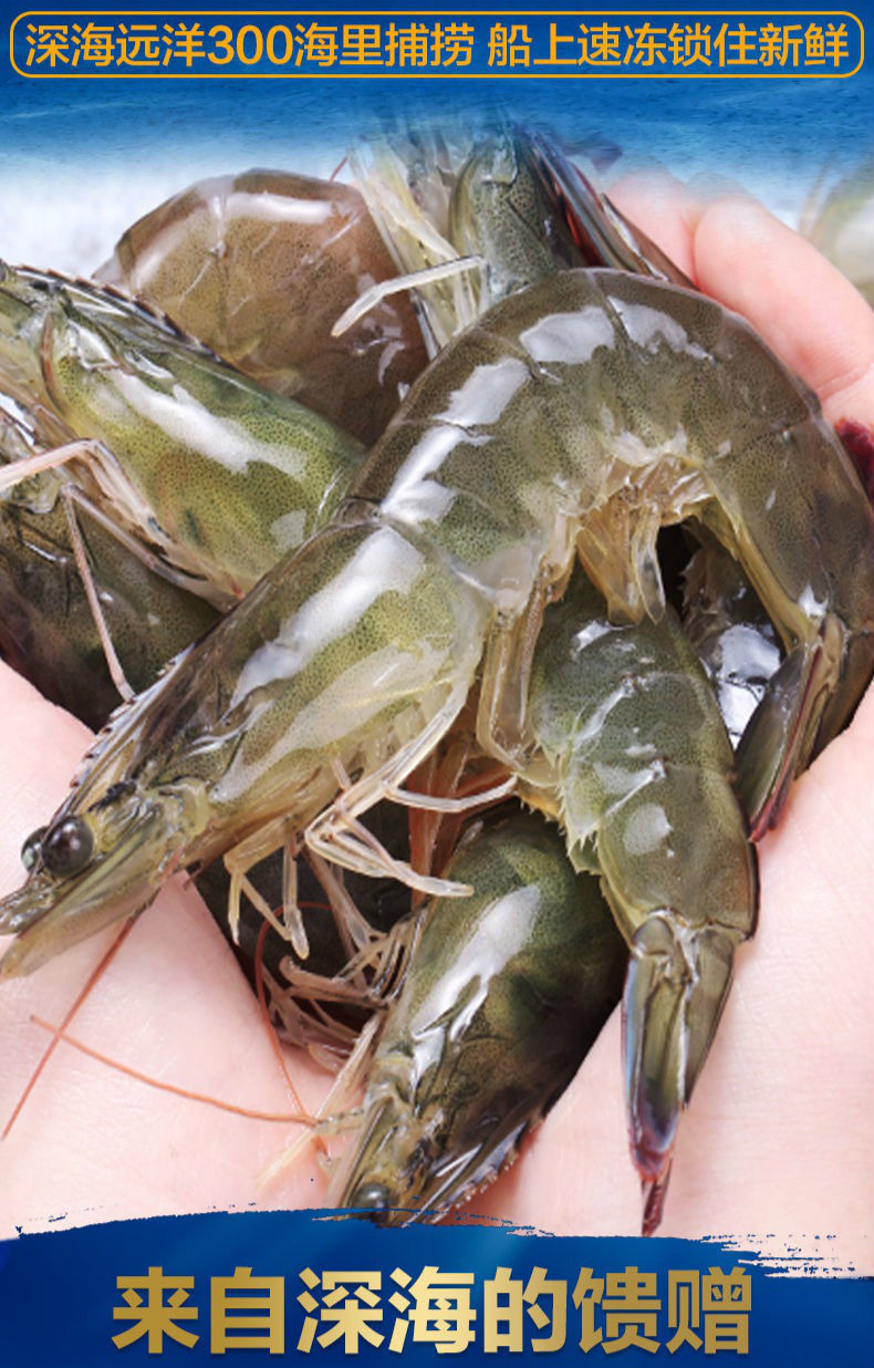 青岛大虾鲜活新鲜大虾特大号一箱海捕大虾帕雅尔克3斤装新鲜海虾14