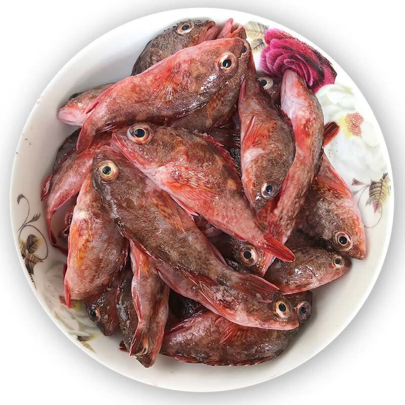 沢素湾野生虎头鱼新鲜石九公老虎斑红石斑石头鲈石翁鱼海钓石狗公一斤