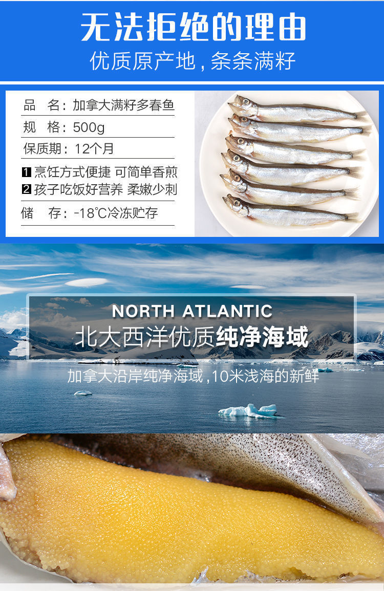 多春鱼满籽鲜活冷冻深海海鲜水产烧烤食材批发三斤装100带籽率