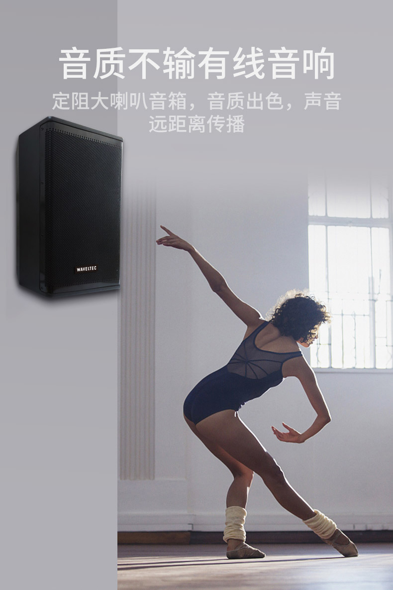 漂真壁挂音响蓝牙舞蹈室教室专用无线会议室音响套装舞蹈室专用壁挂