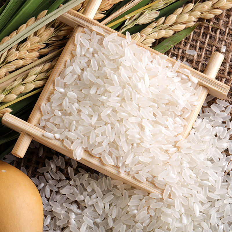 【产地直发】田夫稻花香米5kg/10kg 东北五常大米农家自产粳米 【新