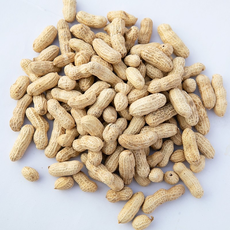 闽西特产龙岩花生湿烤紫衣四粒红香酥蒜香大池东肖白晒水煮花生 粒粒