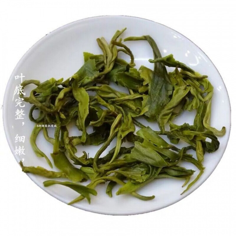 河源紫金绿茶 广东紫金绿茶2021新茶高山云雾明前春客家河源茶叶清香