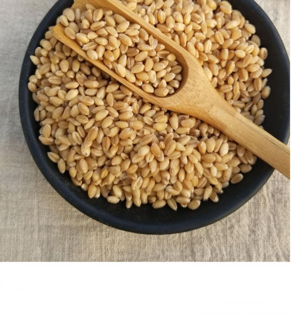 淮小麦中药材500克淮小麦甘草大枣茶失眠另有浮小麦【图片 价格 品牌