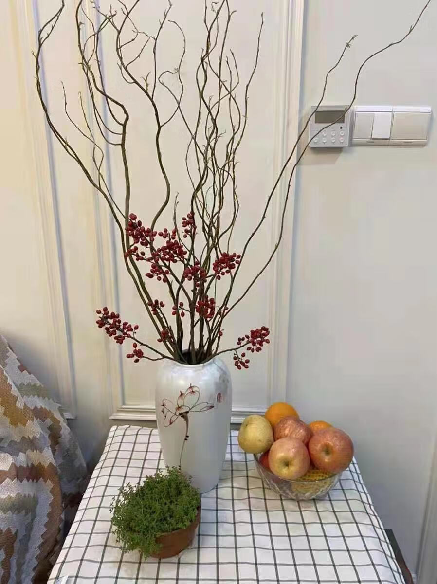 水培龙柳鲜枝客厅插花落地客厅桌摆植物易活观叶水培绿植家居装饰 多