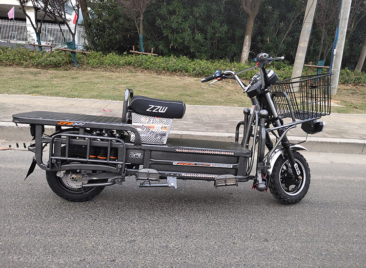 路霸10寸12寸3000w爬坡王大力神载重王载货电动车外卖送餐电瓶车 豪配