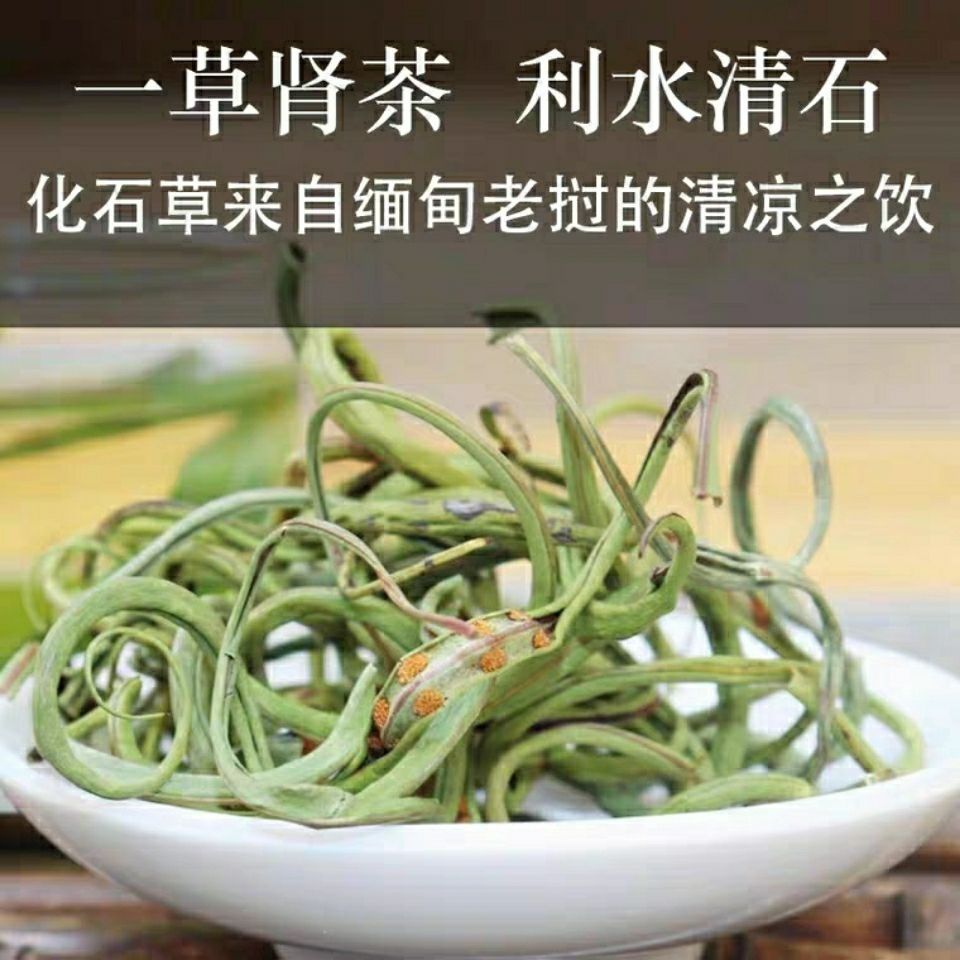 正宗草云南野生草茶肾精草茶猫须草产地直销金钱草中草药 野生草250克