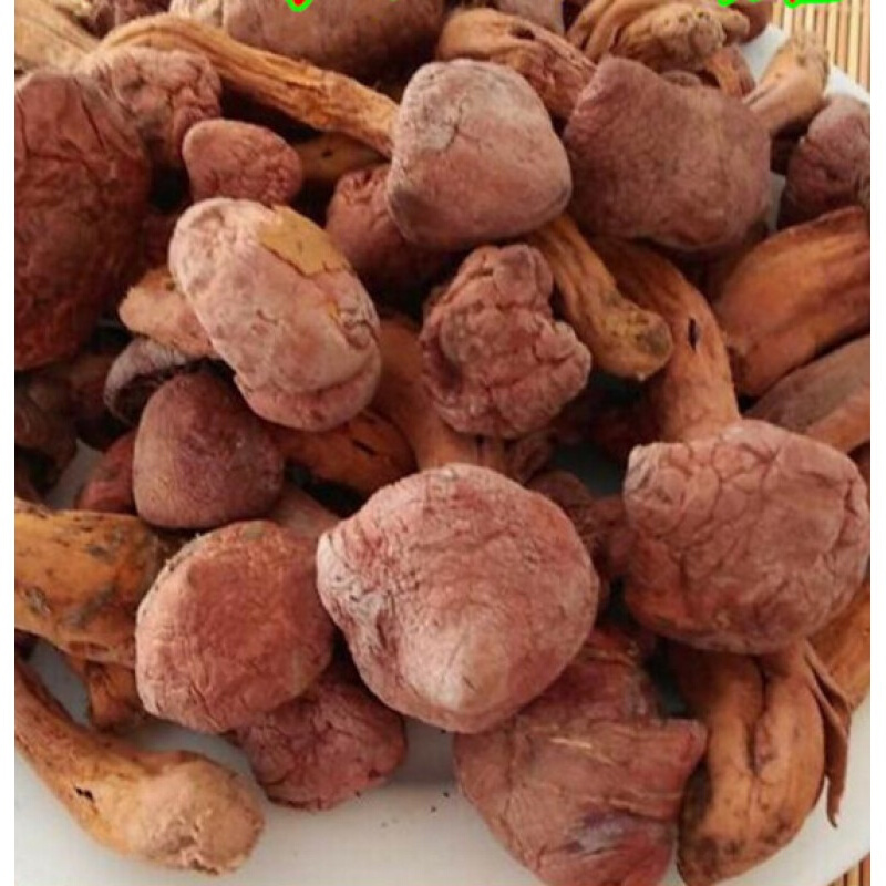 松伞蘑东北特产红蘑菇肉蘑菇松树伞蘑菇红蘑松蘑菇食用菌250g年货