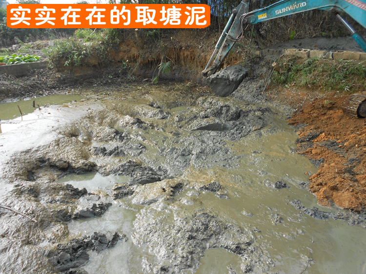 泥巴种花池塘土营养土荷花泥池塘泥种花土种菜土荷花睡莲种植土泥土
