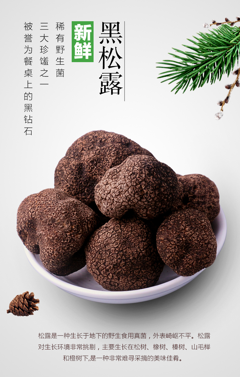 冰鲜黑松露菌新鲜松露500g云南特产白松露菌鲜松露58cm菌菇块菌冰鲜黑