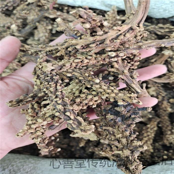 虎鞭草中药原材料500克子孙草虎边草硬劲草硬茎草苗药泡酒料