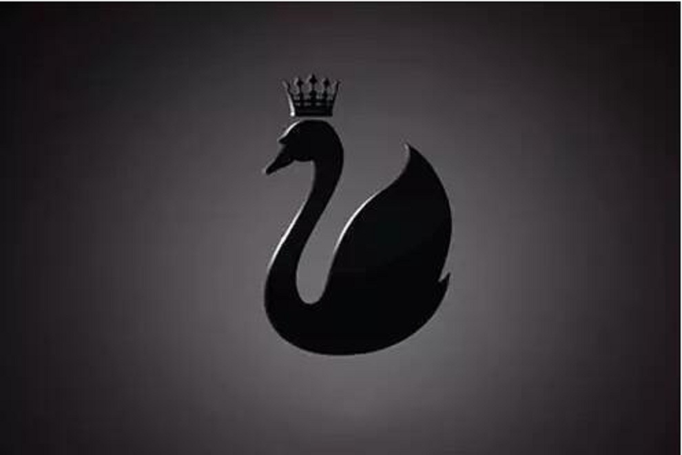 the black swan 黑天鹅 英文原版 塔勒布 nassim 纽约时报畅销