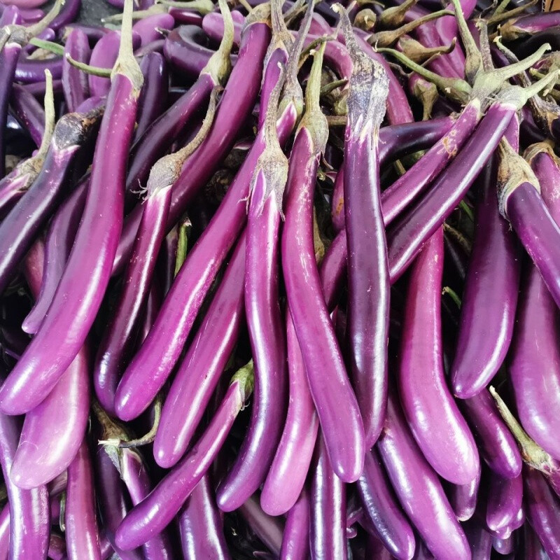 新鲜茄子长茄子 细紫线茄土茄子蔬菜农家自种现摘茄瓜1/3/5斤中秋节