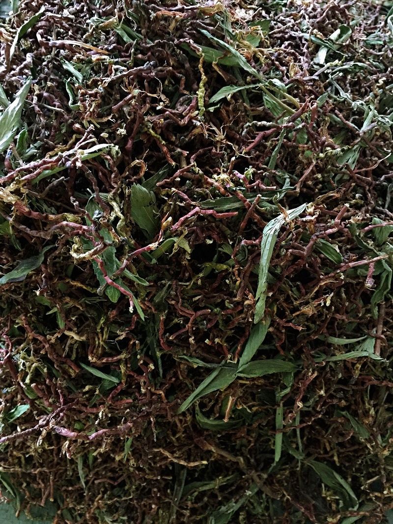 【亏本卖3天】野生山蜜草 甜菊叶混合茶中药材冰糖草百花草搭配甜叶菊