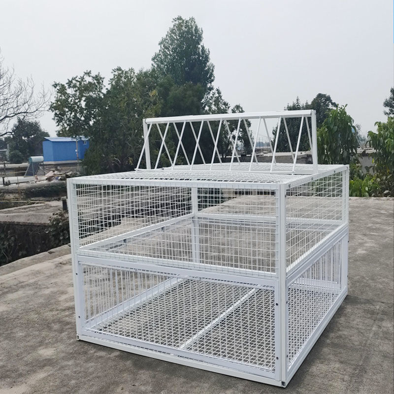 天落笼信鸽只进不出加密抓鸽子笼斑鸠捕鸽神器野外全自动活络门加厚款