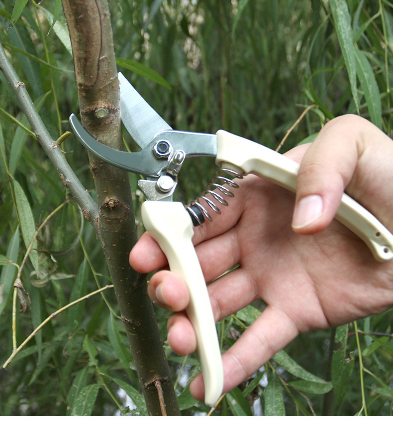 不锈钢修枝剪 园林园艺修剪工具 果树园林 剪刀 艺剪 花园树枝剪 直头