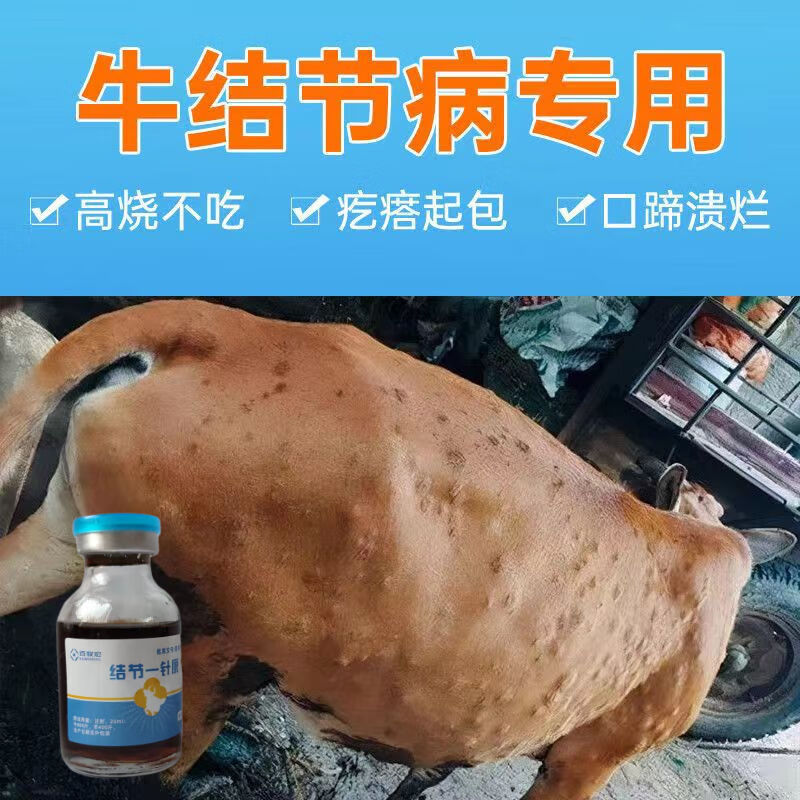 牛结节病专用专治起疙瘩速治牛结清牛结克牛痘羊痘结节康怀孕可用
