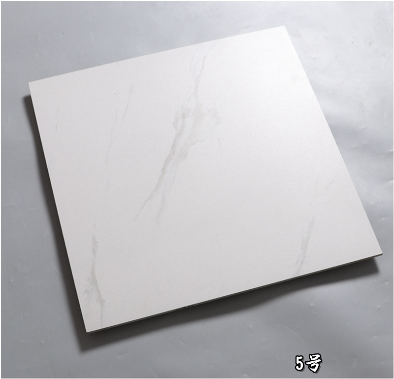 哑光瓷砖客厅仿古砖600x600办公楼防滑地砖厨房卫生间墙砖4号600600