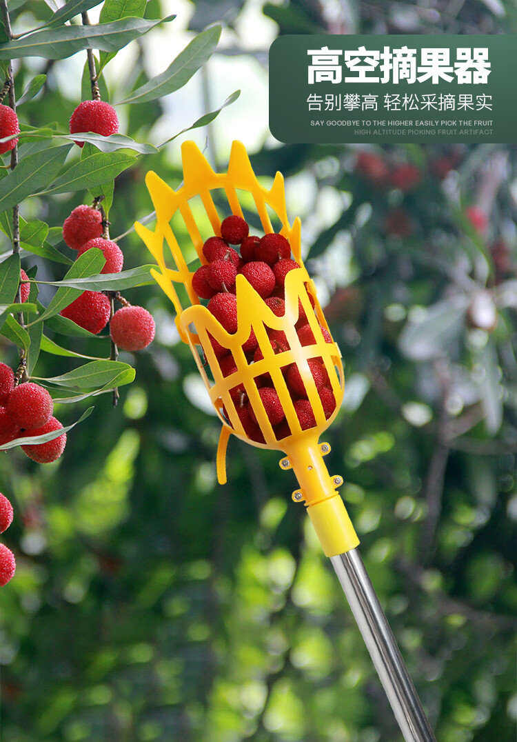 杨梅高空摘果器伸缩摘枇杷枣子柿子神器家用水果采果李子采摘工具泓笪