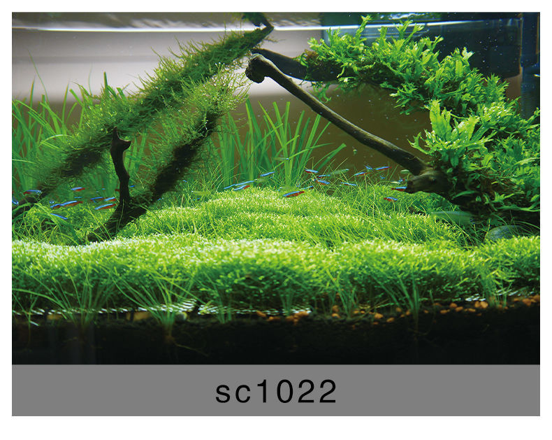 定制水草鱼缸背景贴纸背景纸草缸背景画蓝白渐变色自粘水贴不透光 sc