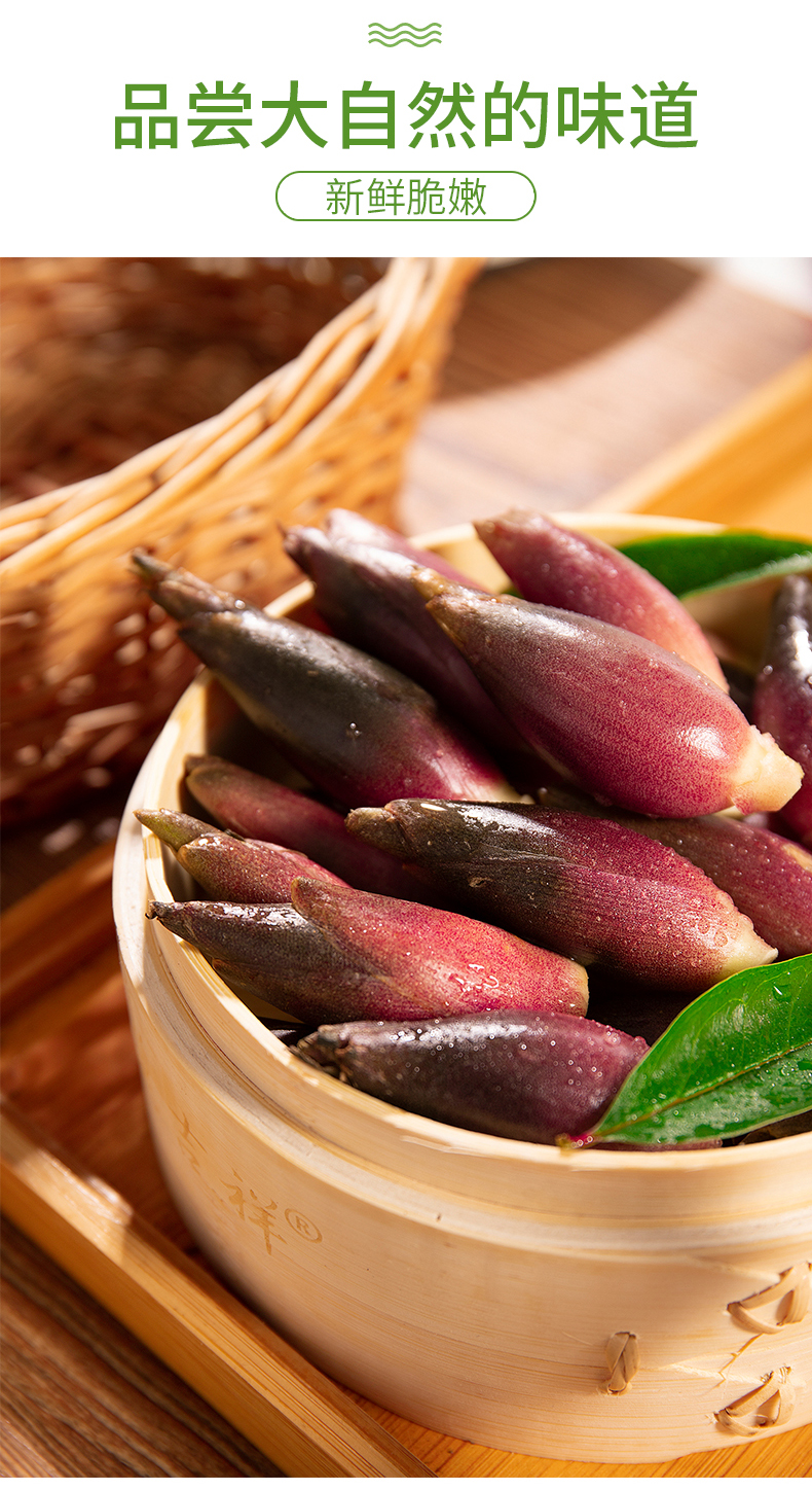 香馜 阳荷姜洋荷姜新鲜野生阳荷笋苗洋姜蔬菜阳荷菜胡姜阳藿5斤 1500g