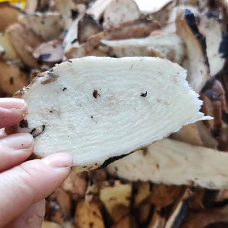 【精选好货自选好物】新鲜入地老鼠根野生药材茉莉花根紫花广东煲汤钻