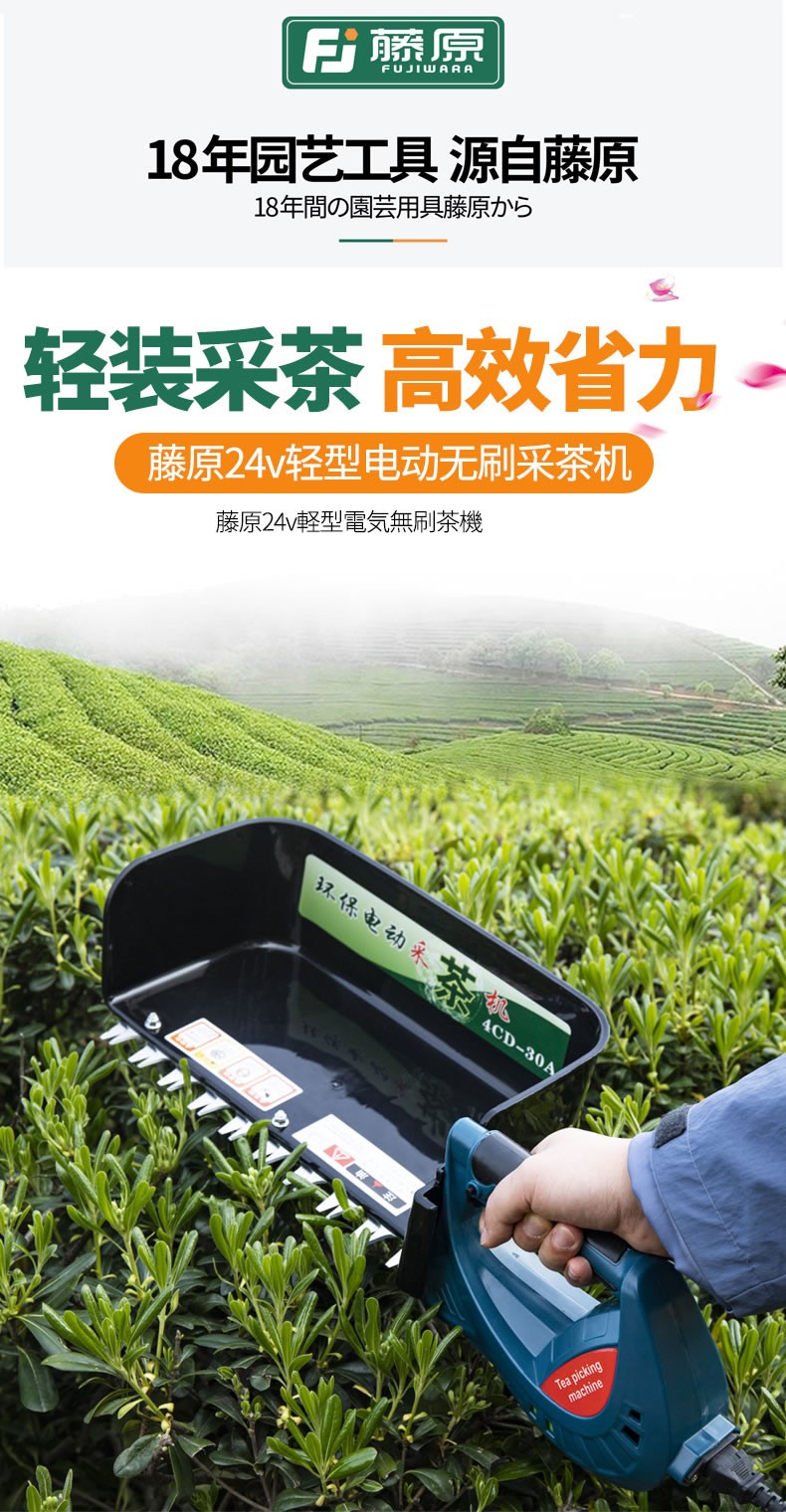 藤原电动采茶机便携式茶叶采摘工具单人充电式茶树茶叶采摘机 无刷