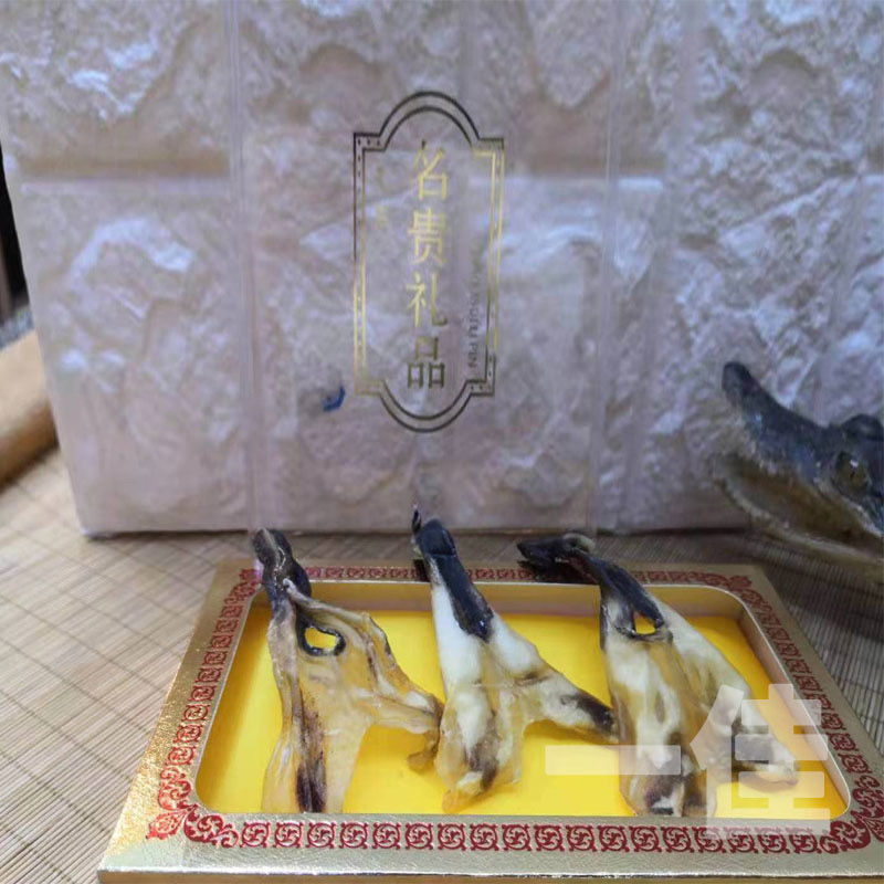 人工养殖鳄鱼活体新鲜现杀鳄鱼鞭干滋补养生特色鳄鱼鞭3根鳄鱼鞭干