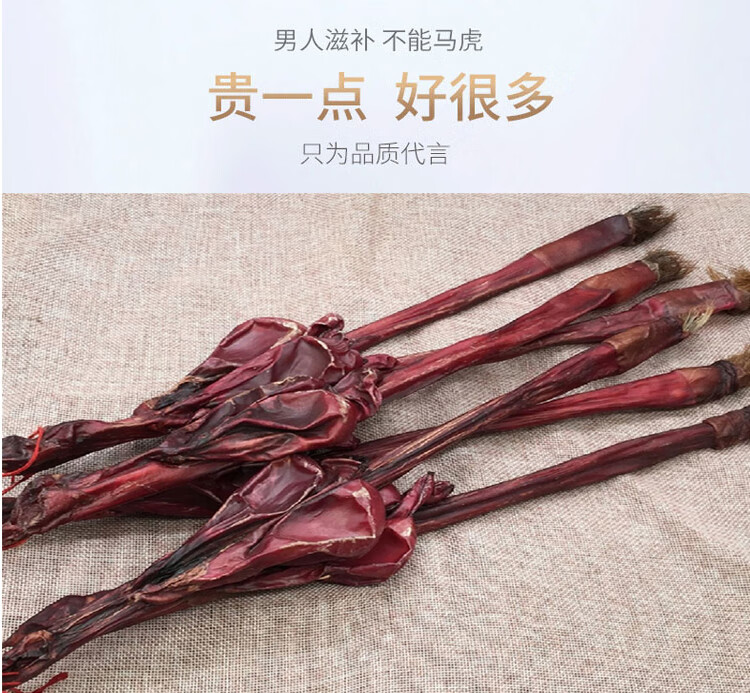 牛鞭干整支黄牛鞭牦牛鞭干牛鞭整只带睾丸泡酒料