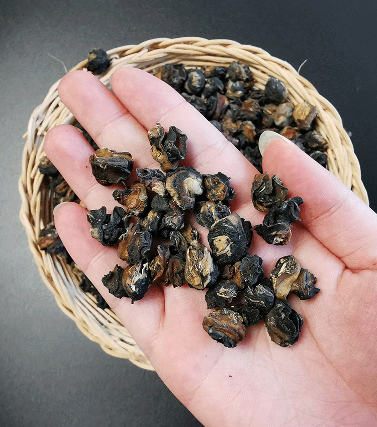 田螺肉干大号野生无沙田螺肉干货干田螺肉广西螺蛳粉配料螺丝肉500g