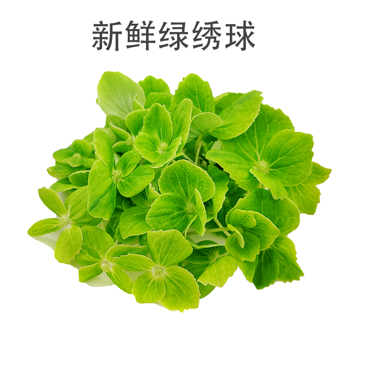 名称:绿绣球新鲜 翠绣球花40朵可食用花西餐日料 酒店摆盘装饰花草