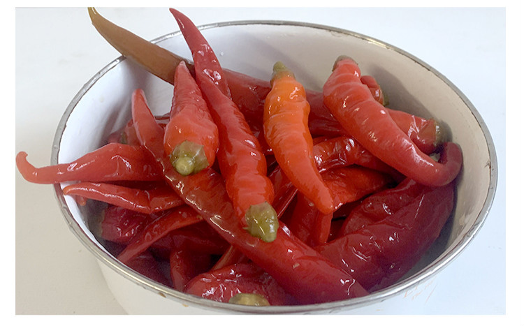 晨臻湖南邵阳特产酸辣椒正宗酸辣椒酸海椒农家自制泡椒腌辣椒 1斤真空