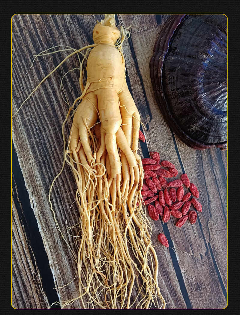 参龄18年长白山特大人参王东北特产送枸杞泡酒煲汤新鲜4年参毛重30克