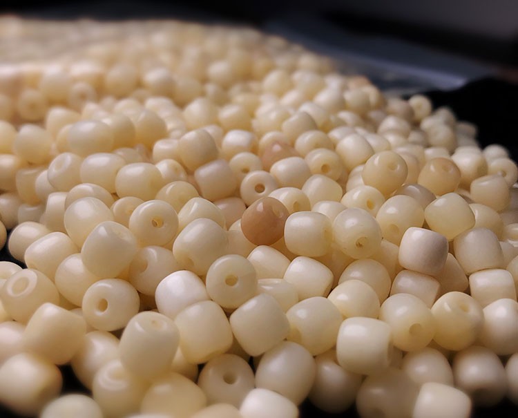 鹿朵 顺纹骆驼骨 108未脱脂原料半透料透料驼骨手串 8*7mm带三通