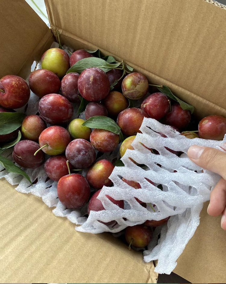 李子纸箱5斤装带透气孔青脆半边红快递运输包装盒子235135150mm3斤装