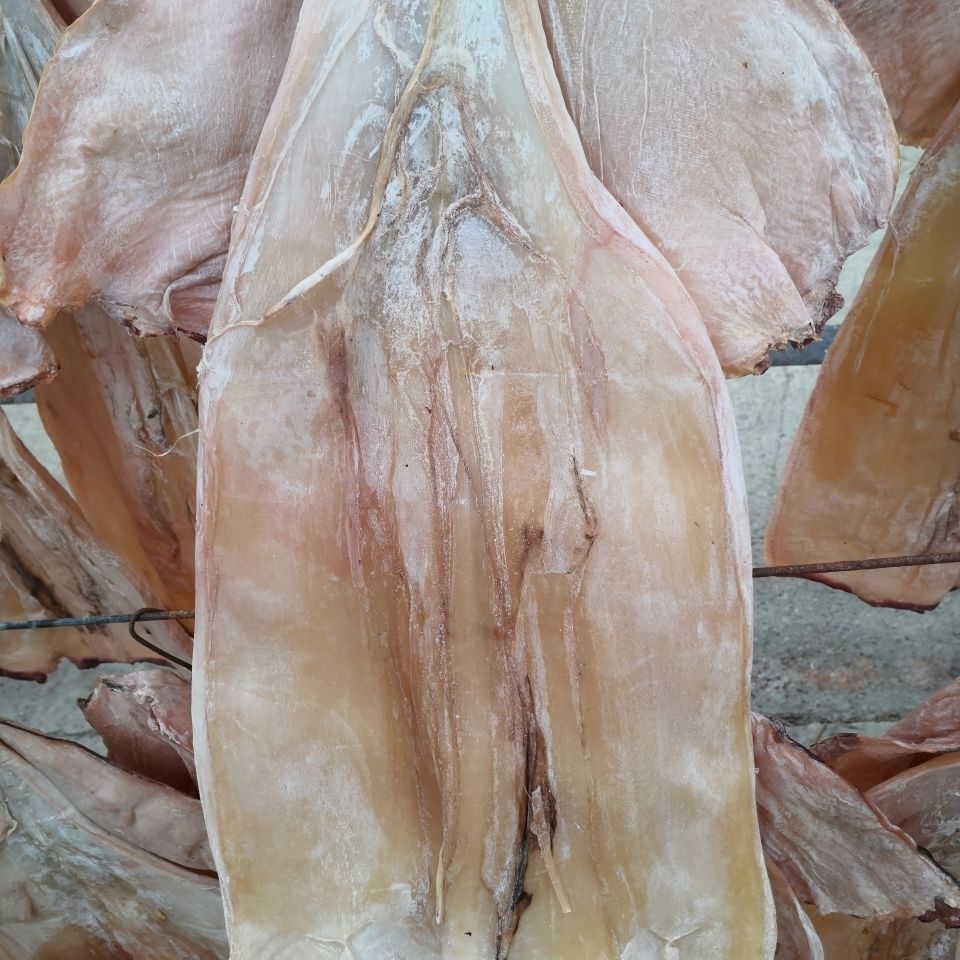 特大淡盐无头鱿鱼板带头整只鱿鱼干海鲜特产货场直发 两斤十成干无头