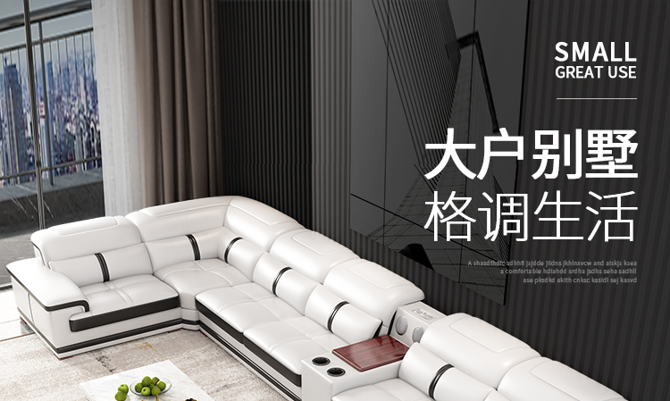 艾森雅 现代大户型U型皮沙发客厅转角多人组合家具 【高端中厚皮】L型E 组合